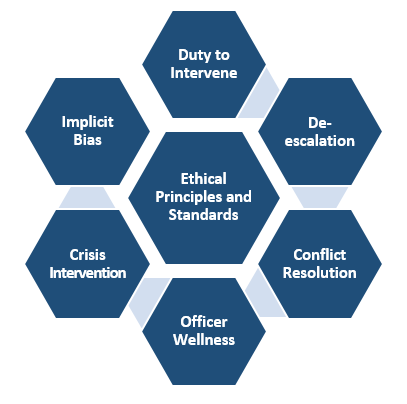مشروع مراجعة إنفاذ القانون مشروع مراجعة إنفاذ القانون